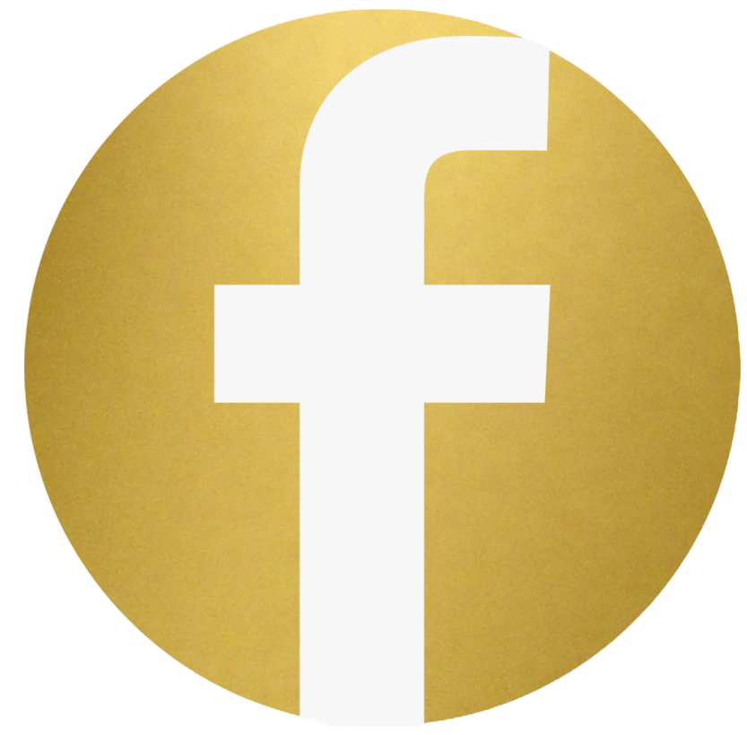 fb icon
